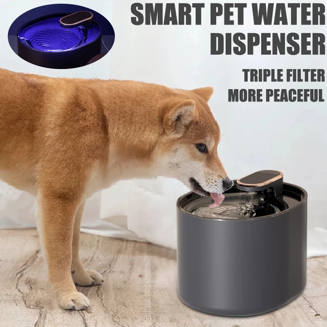 Dispensador de agua automático para mascotas, fuente con filtro de  circulación Ultra silencioso de gran capacidad, 3L, con puerto USB -  AliExpress