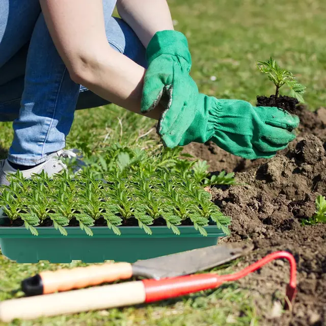 Plateau de démarrage de graines avec lumière de croissance, kit de germination des graines de 36 cellules, avec dôme d'humidité et éclairage tricolore réglable. 6