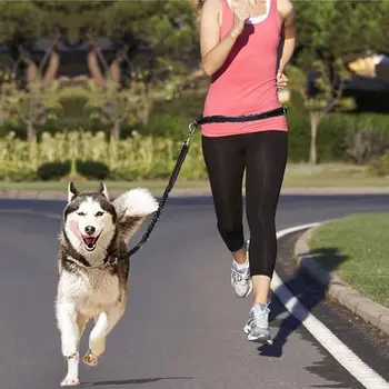 2025 Hands-Free Reflective Pet Leash – Adjustable Elastic Running & Walking Lead 1