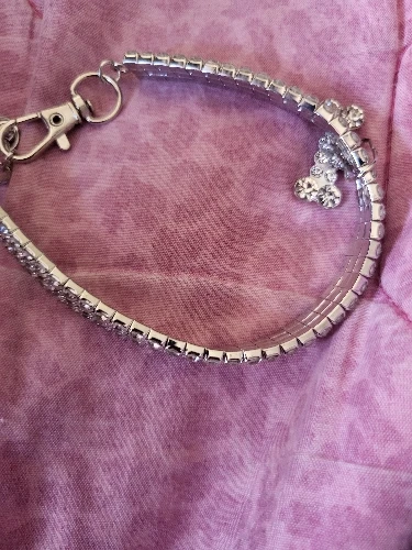 Sparkle Pup, Rhinestone Crystal Dog Collar with Custom Engraving photo review