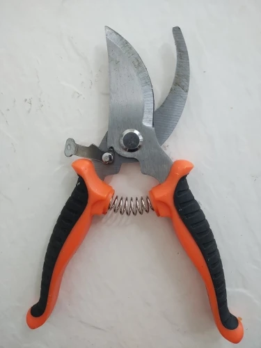 Stainless Steel Professional Gardening Shears Pruning branches Fruit trees Flowers Household Pruning Tools Shears photo review