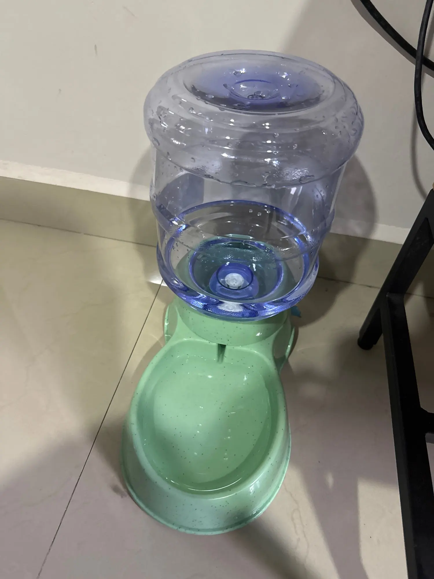 Large Capacity Pet Feeder Bowls Small Dog Food Bowl Automatic Water Dispenser photo review