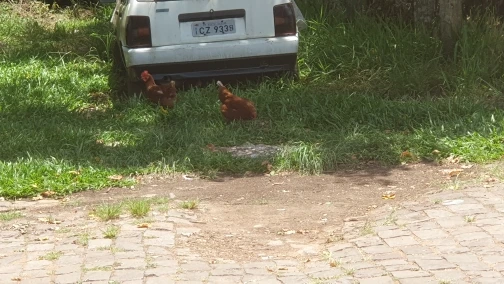 GATERON Magnetic Jade Pro Switch Linear Adjustable Custom Magnetic Mechanical Keyboard Magnetic Gaming Hifi Keystroke Switches photo review