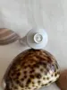 Изображение товара 4