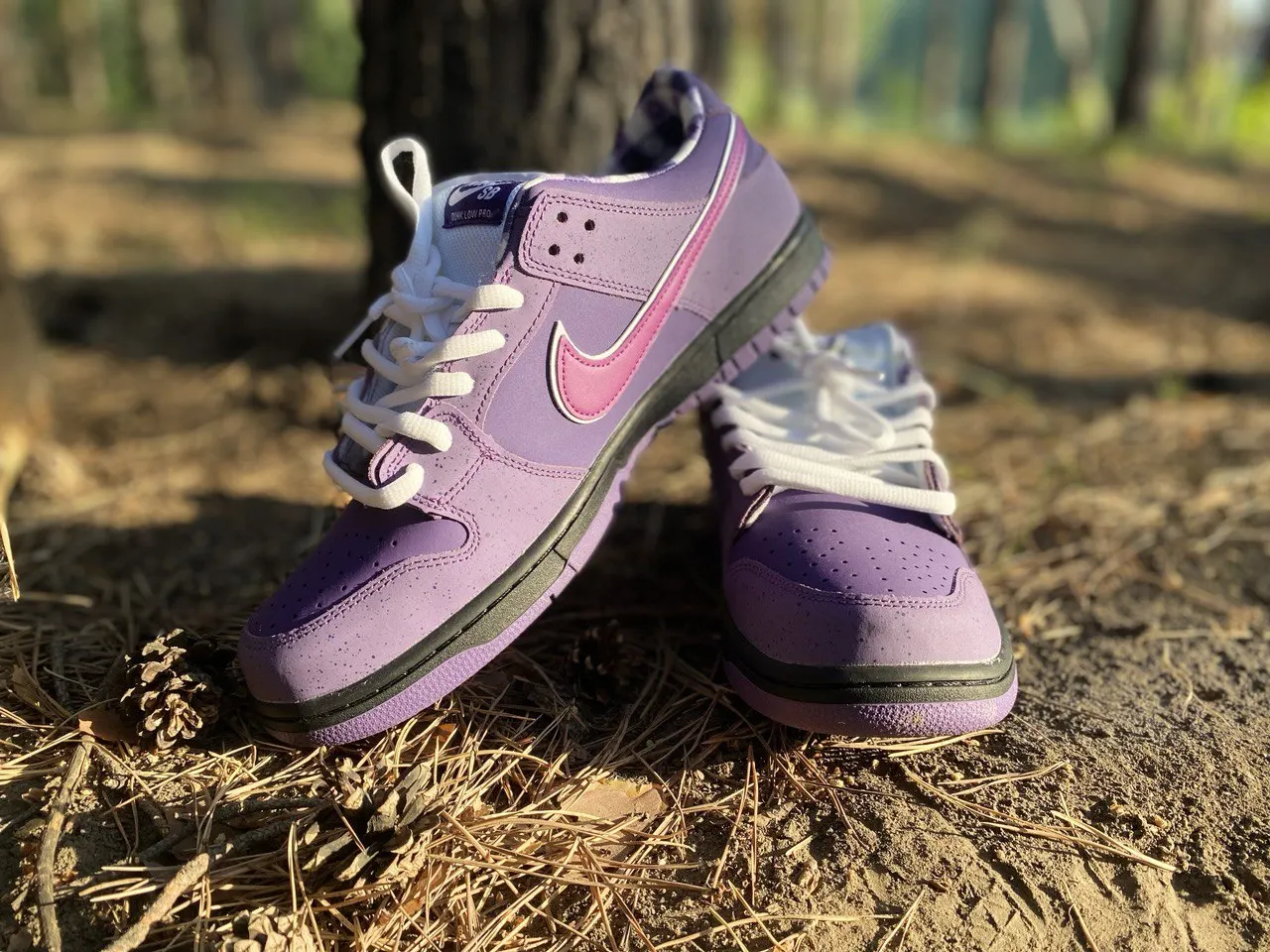 Nike Sb Dunk Purple Lobster Outfit Purple Lobster Outfit Lobster