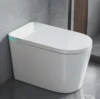 Elongated Smart Toilet with Bidet Built in, with Heated Seat，AUTO Open/Close Lid, Bidet Toilet Seat with AUTO Flush,Air Dry 1