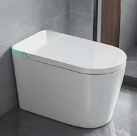 Elongated Smart Toilet with Bidet Built in, with Heated Seat，AUTO Open/Close Lid, Bidet Toilet Seat with AUTO Flush,Air Dry 1