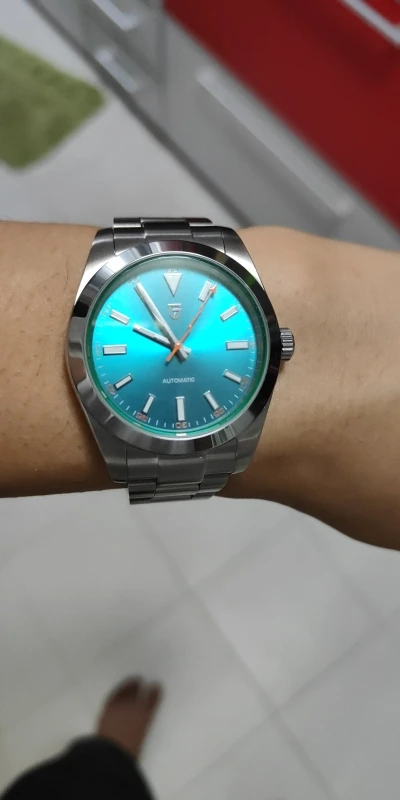 PAGANI DESIGN Green Glass Men's Mechanical Watches photo review