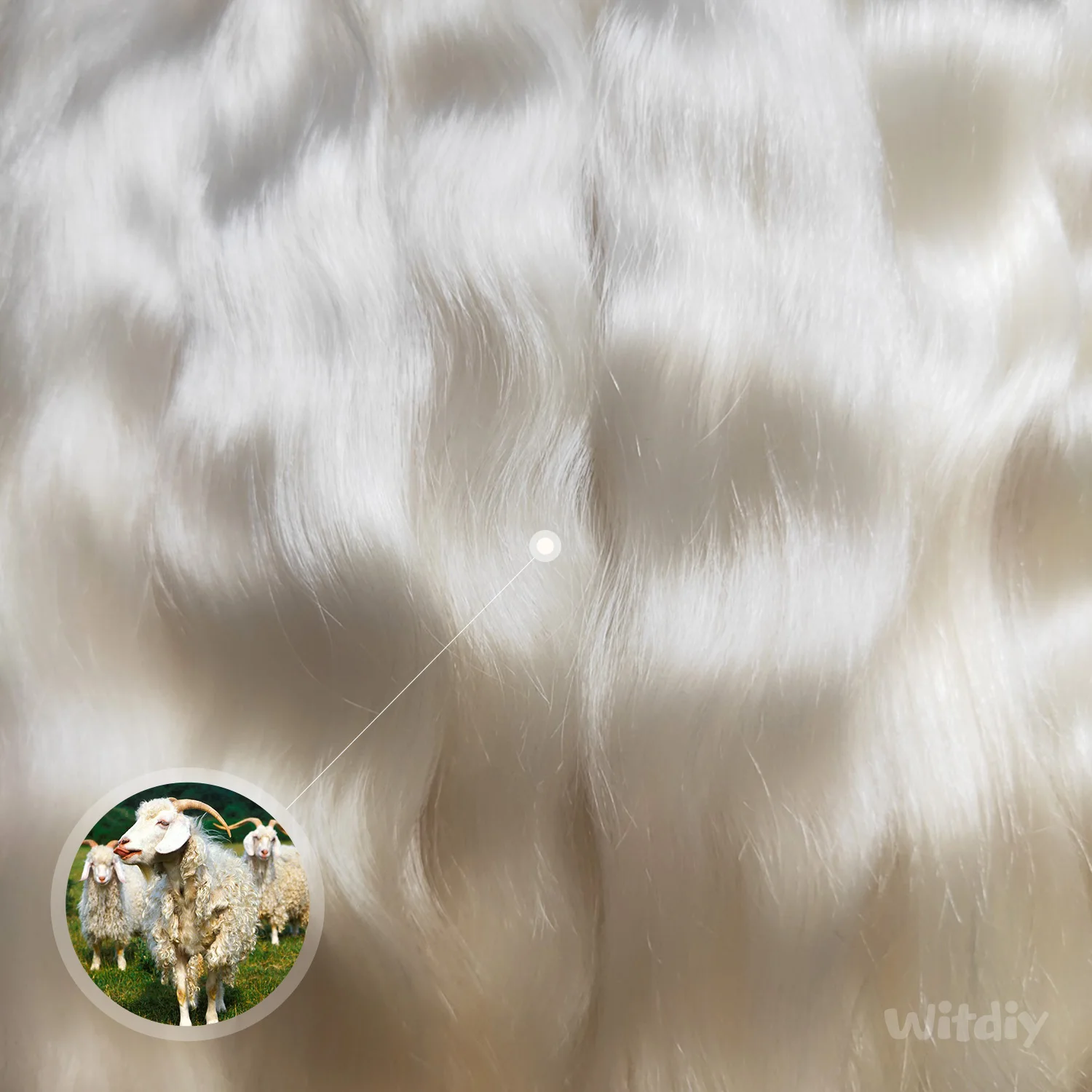õ  Ӹ Witdiy 귣   , , lanugo Ӹó ε巴   , ο 