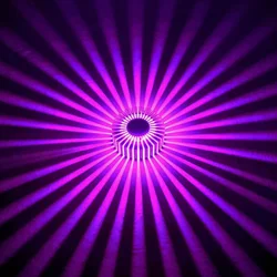 Vibrant LED Ceiling & Wall Light Fixture (Purple light)