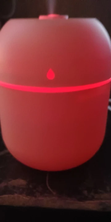 Mini Air Humidifier & Essential Oil Diffuser photo review