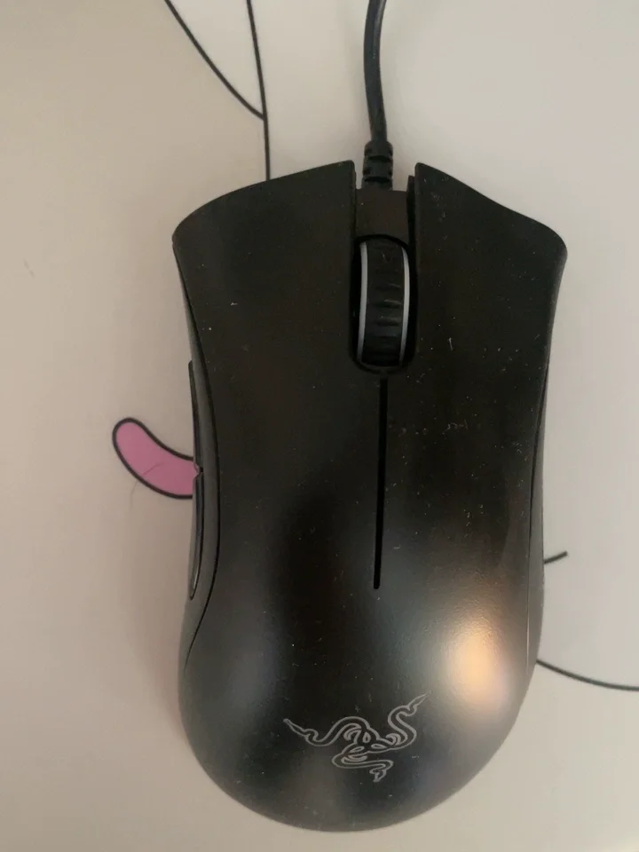 Razer DeathAdder Essential Wired Gaming Mouse 6400DPI photo review