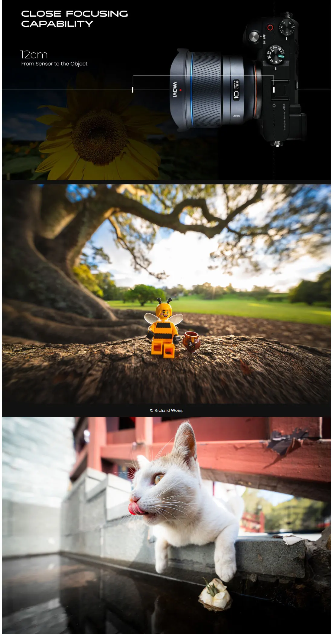 Laowa FF II 10mm f2.8 Zero-D Lens Ultra Wide Landscape Astrophotography for Cano