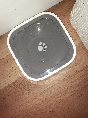 Non-Spill Dog Bowl