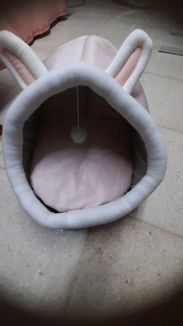 Cat Toys | Mouse Shape toys | Foldable Cat Toys । Cat & Dog Toys | ATOZBY photo review