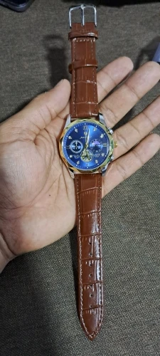 POEDAGAR Luxury Watch for Men photo review