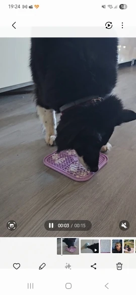 Pet Licking Mat Silicone Pet Food Suction Cup Slow Feeding Mat