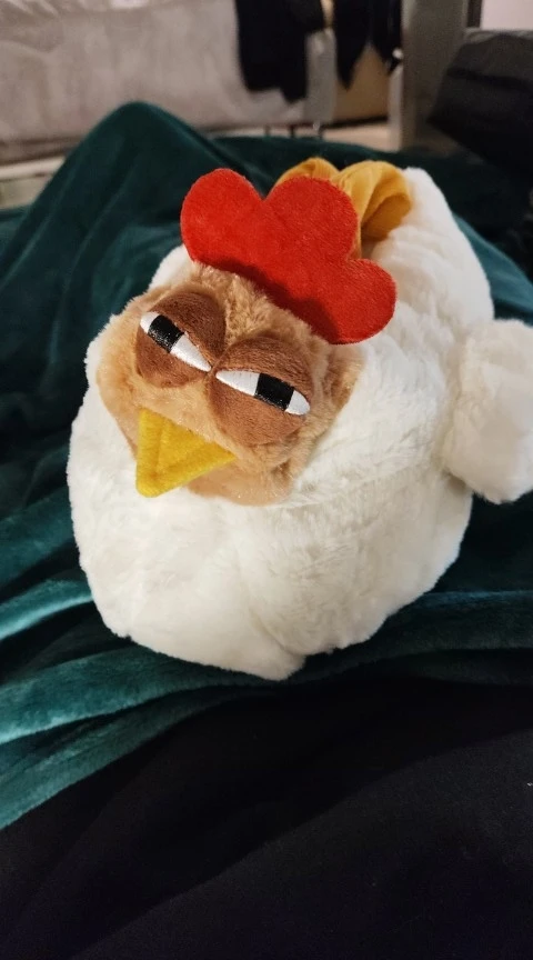 Ugly Chicken Plush Handbag photo review