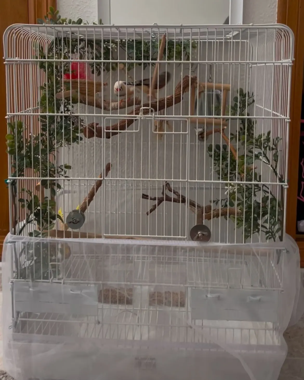 Cubierta de malla Para jaula de pájaros, falda de concha, red de fácil limpieza, protector, jaula para pájaros, malla elástica, jaula Para pájaros Para loros, Jaula Para Pajaros photo review