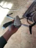 Изображение товара 2