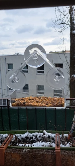 The Transparent Window Bird House