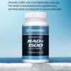 NAD+ Resveratrol - Anti-aging, Helps Boost Energy, Promotes Cell and Skin Health - 120 Capsules