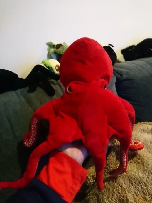 Polvo Gigante Fofeza® de Pelúcia