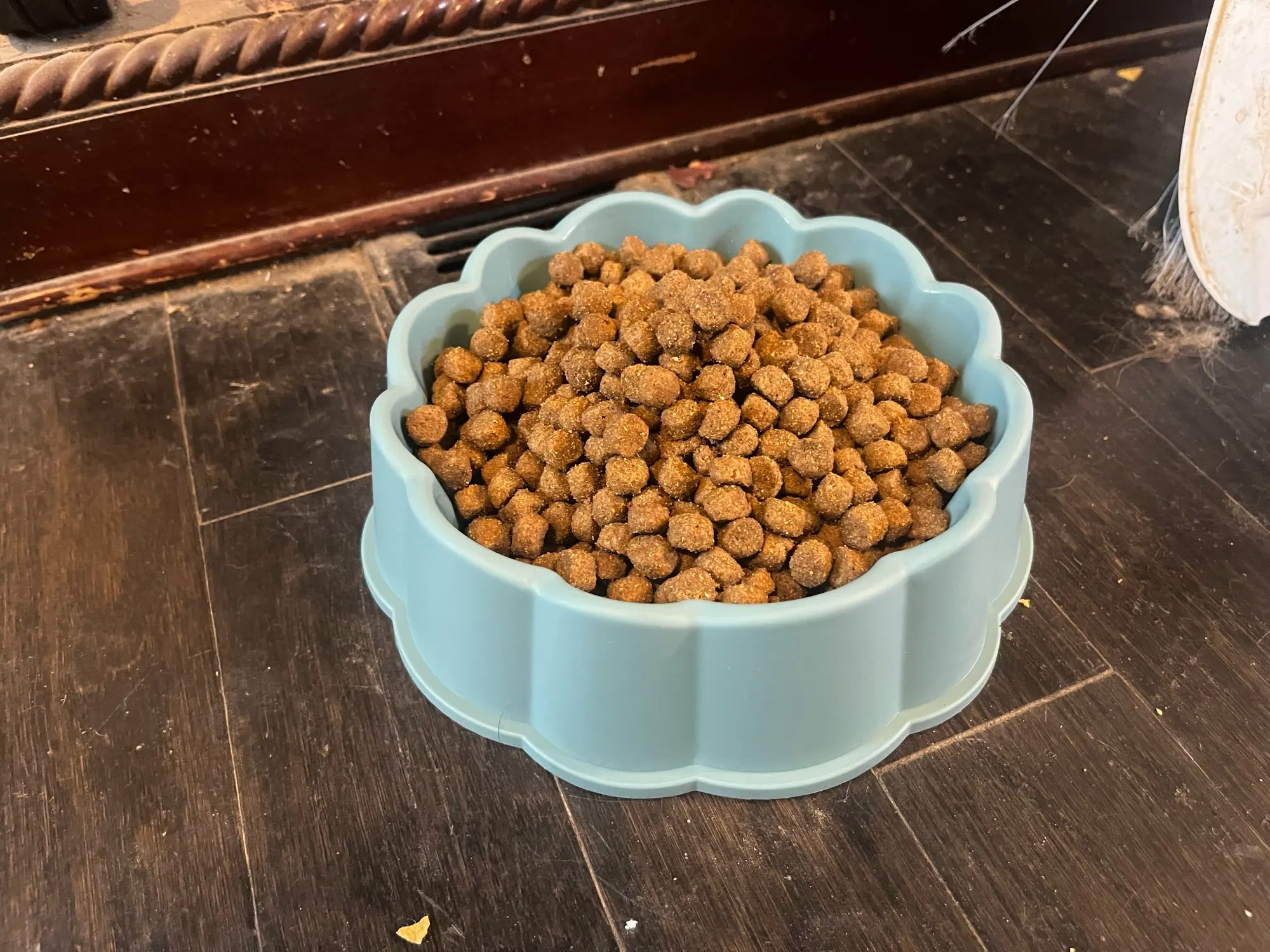 Lace Petal Bowl: Stylish & Practical Feeding Solution photo review