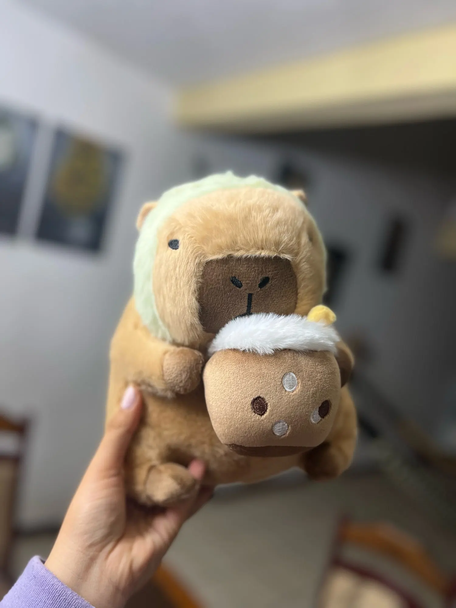 Kawaii Capybara Plushies - Bread & Flower Edition photo review