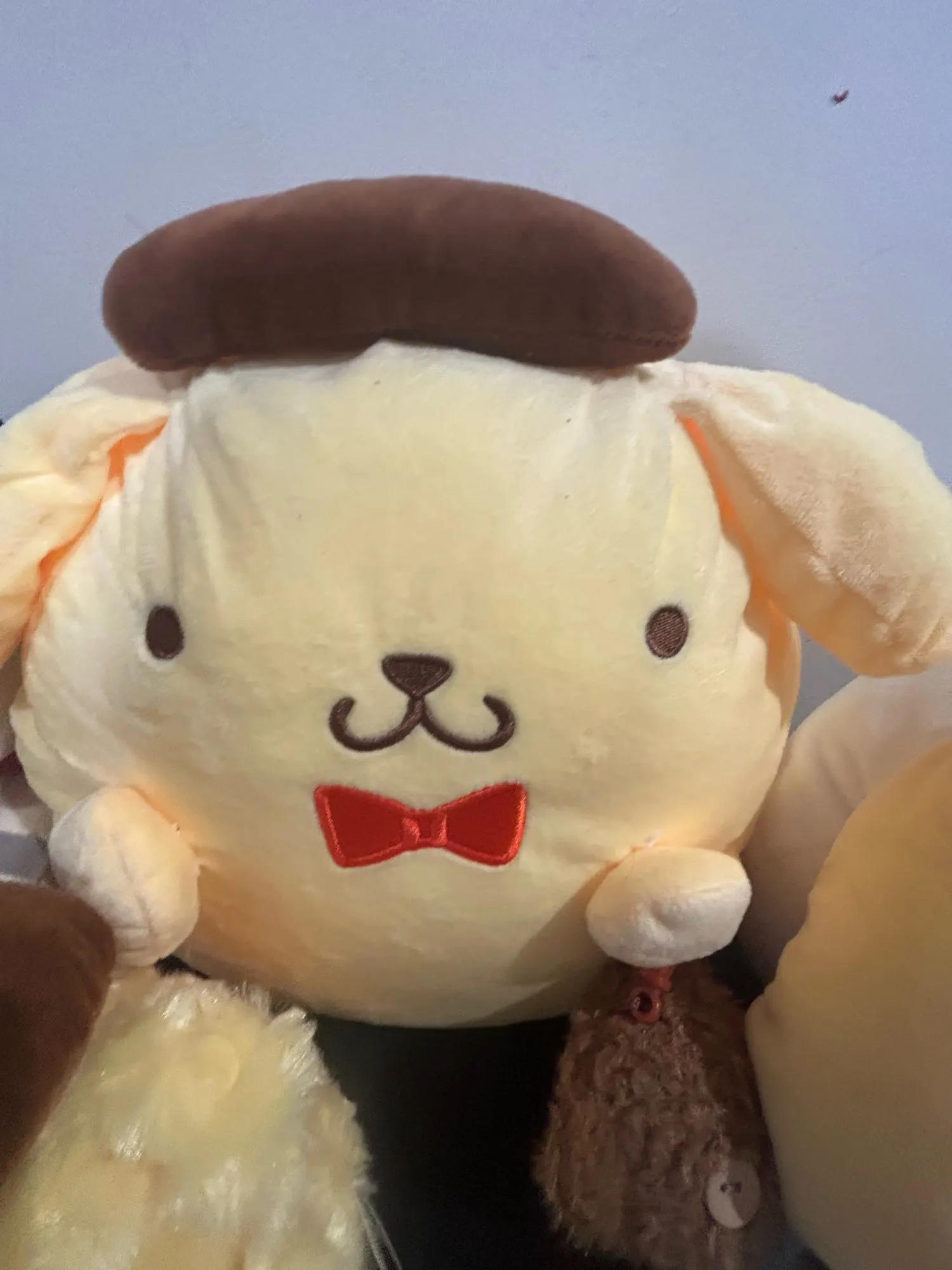 Chonky Purin Plushie photo review