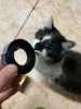 Изображение товара 2
