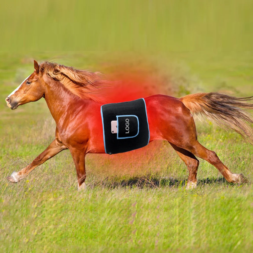 Equine Led Red Light Wrap Dispositivo Laser A Infrarossi Horse Light Therapy Sottosella Light Hoof Boot Equine Solarium