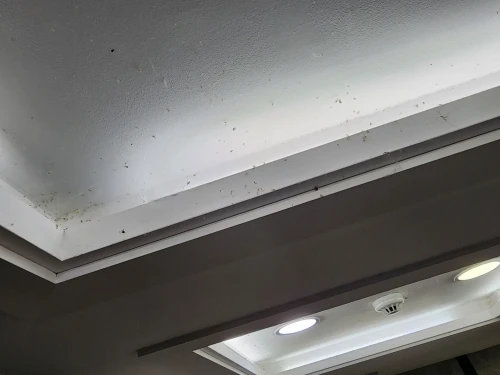 Câmera Vandlion A50 Full HD 1080p Controle Remoto Wi-fi, Lente Grande Angular 150 Graus photo review