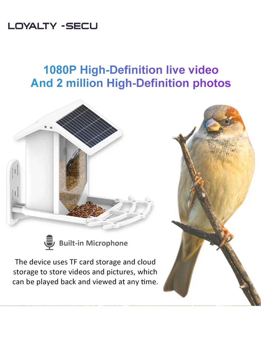Mangeoire à Oiseaux Intelligente Alimentée à L'énergie Solaire, Voix  Bidirectionnelle WiFi, Faible Consommation, Caméra Extérieure 2MP pour  Oiseaux