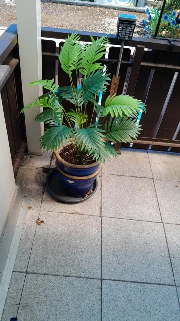 2PCS 24Leaves Areca palm simulation green plants realistic artificial trees suitable for bedroom living room outdoor decoration photo review