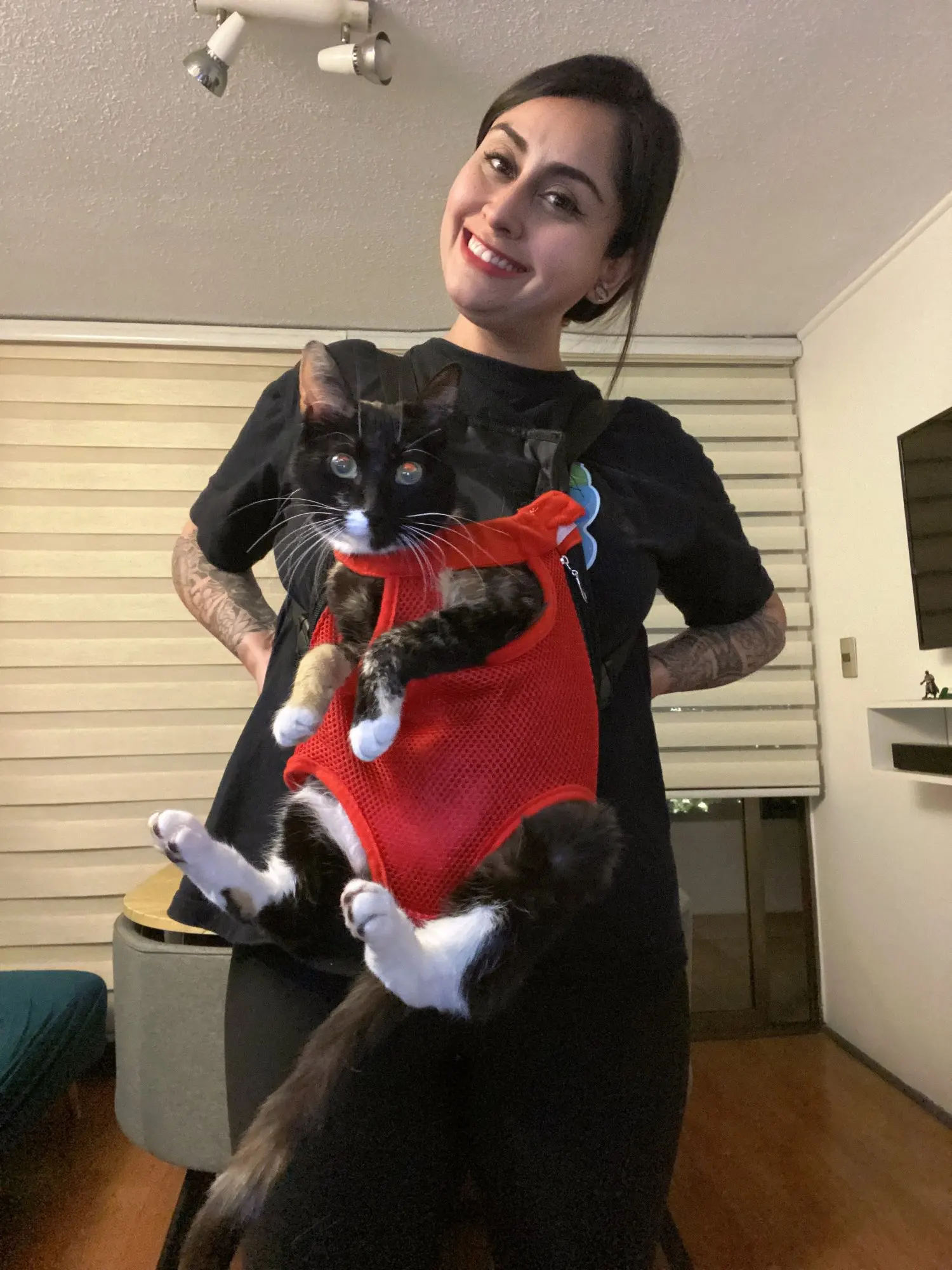 Venture Paws Portable Pet Backpack: Comfortable Travel for Your Furry Friend photo review