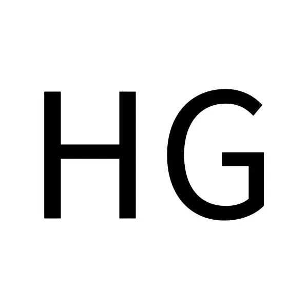 HG Fireplace Store