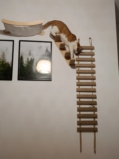 Wall-mounted Cat Climbing Frame 50cm Cat Climbing Ladder  Hammock  Activity Sisal Cat Grab Post Cat Pedal Indoor Cat House photo review
