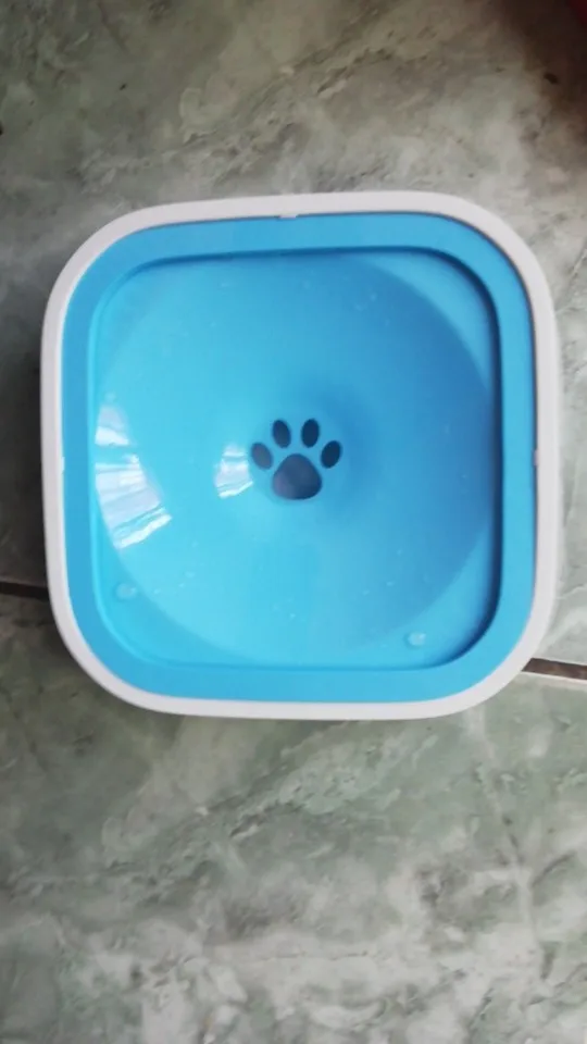 Non-Spill Dog Bowl