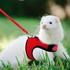 Breathable and stylish pet vest-style harness with adjustable soft strap and elastic leash set, suitable for rabbits and cats 6