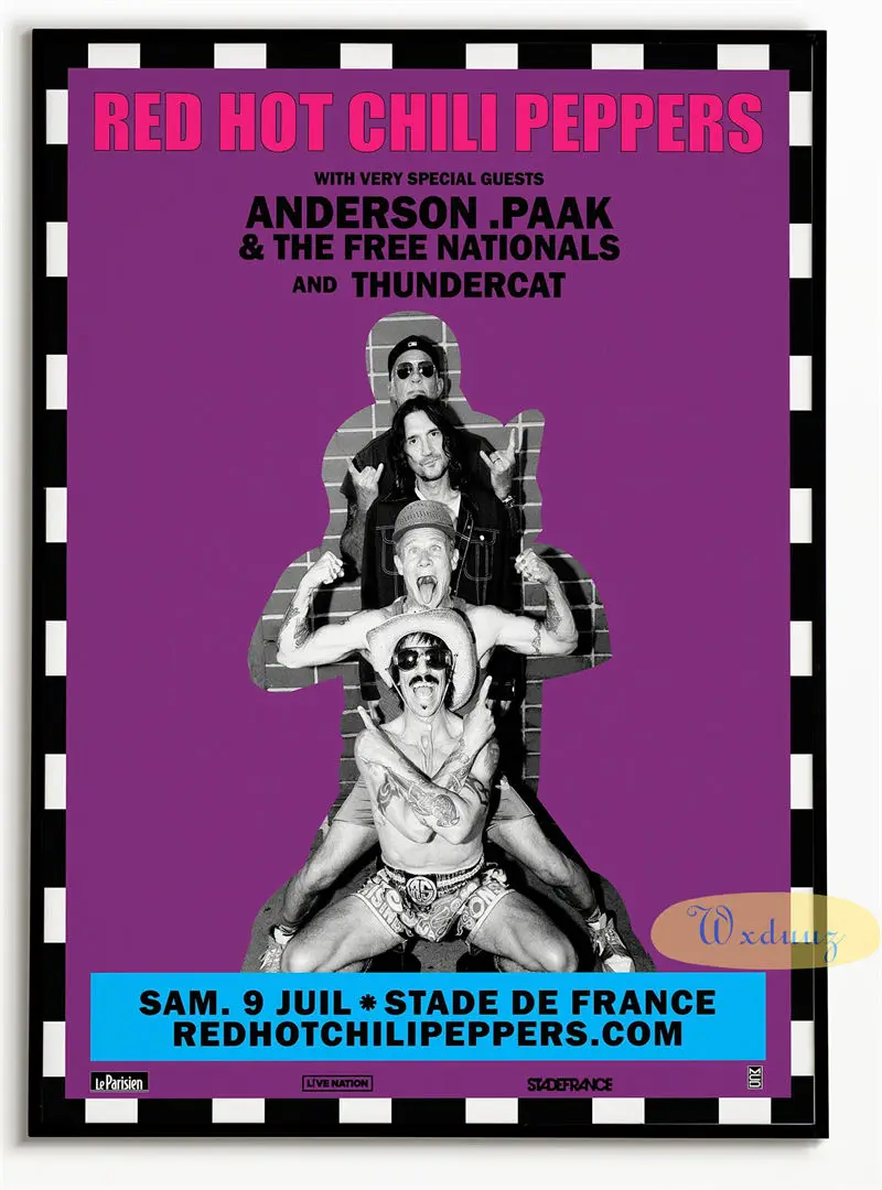 90's ビンテージ RHCP レッチリ タペストリー バナー 【公式通販】