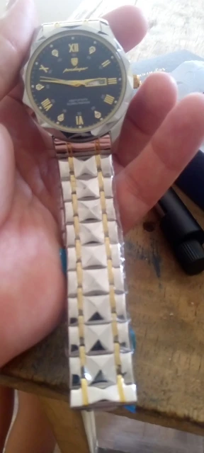 POEDAGAR Luxury Man Wristwatch photo review