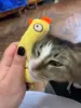 Изображение товара 4