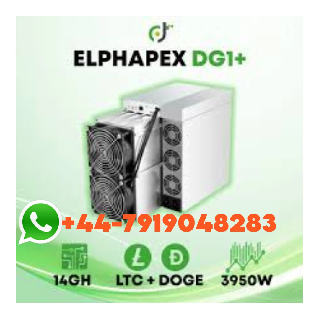 엘파펙스 DG1 + 14G 3920W 리트코인 채굴, 도지코인 채굴, PSU 포함, AK PROMO 세일