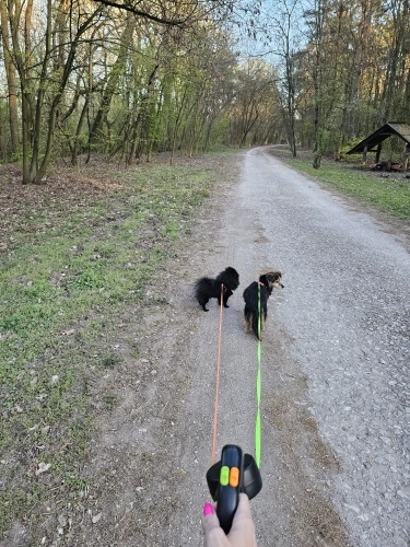 Retractable Dual Dog Leash with LED Light & 360° No-Tangle Swivel photo review