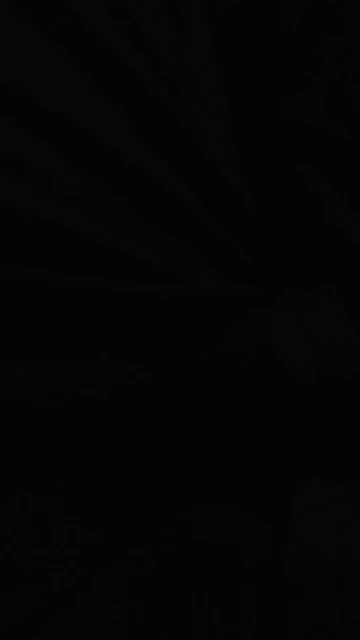 Escova Polvo Detangler para Cabelos Cacheados - Sortido - Desembarace com Facilidade e Realce a Beleza dos Seus Cachos photo review