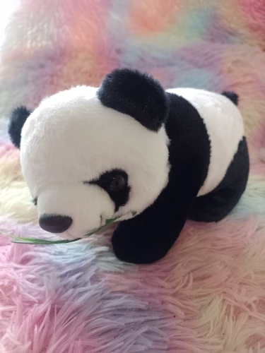 Cute Baby Panda Plush Pillow - Soft Stuffed Gift for Kids photo review