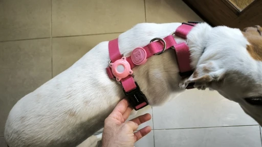 DriveSync Trace ™ - Not Just a GPS Car Tracker. Your Everything Finder.