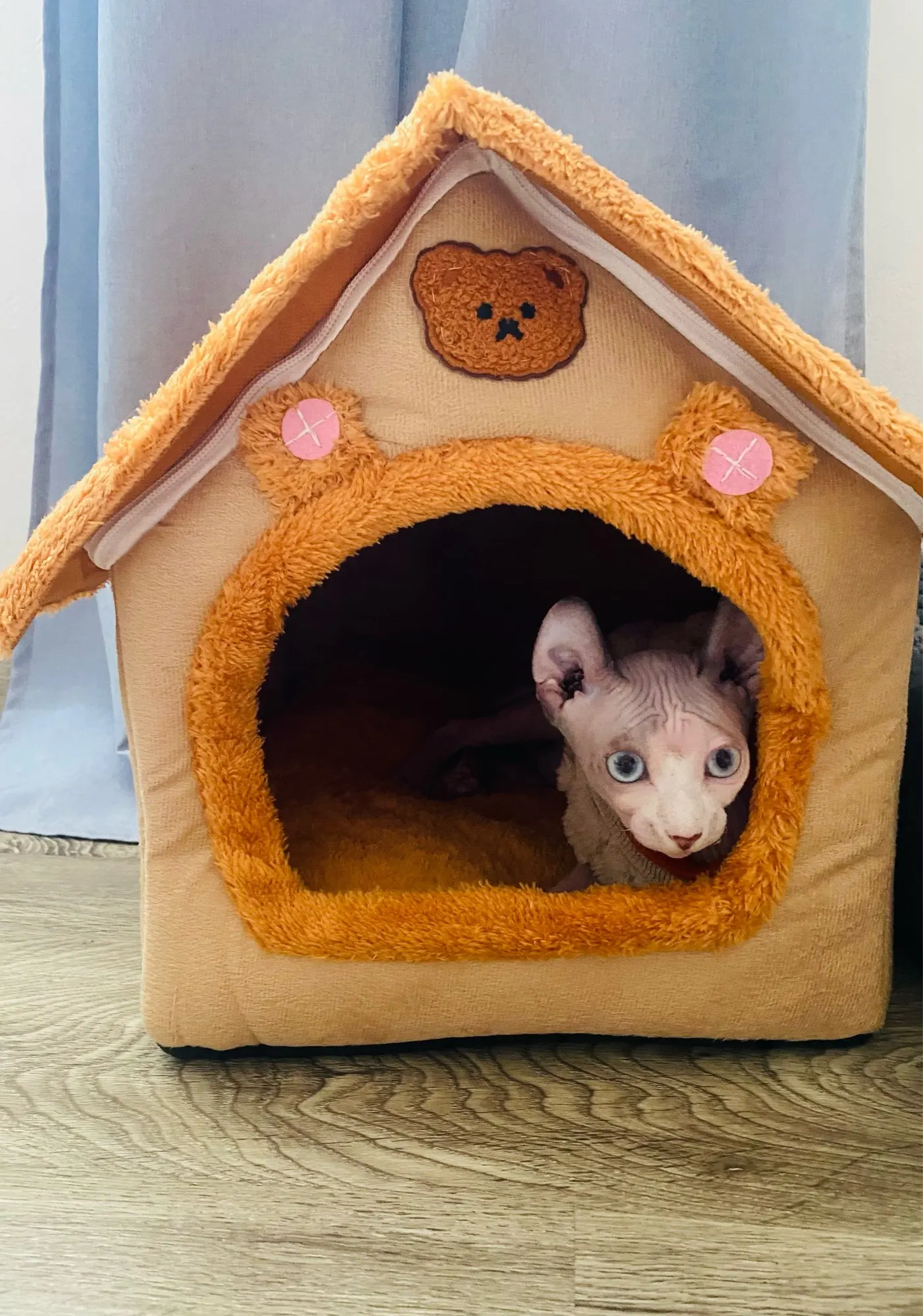 Cozy Foldable Pet House photo review
