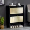Shoe Cabinet with 2 Natural Rattan Doors Large Capacity Shoe Storage Rack Living Room Entryway Heels Shoes Slippers Organizer 2